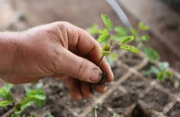 novardenne-projet-agroecologie